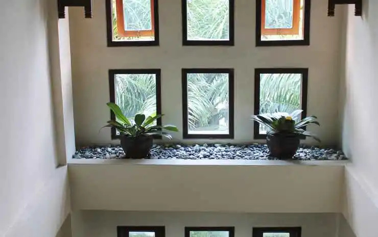 Ub Guest House