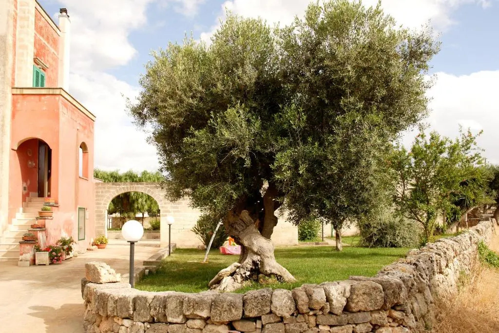 Masseria Curatori