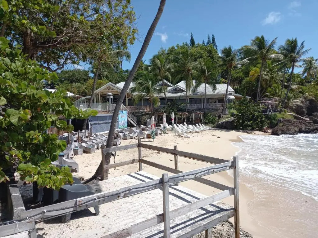 Grand studio de 41 m², vue mer et jardin tropical.