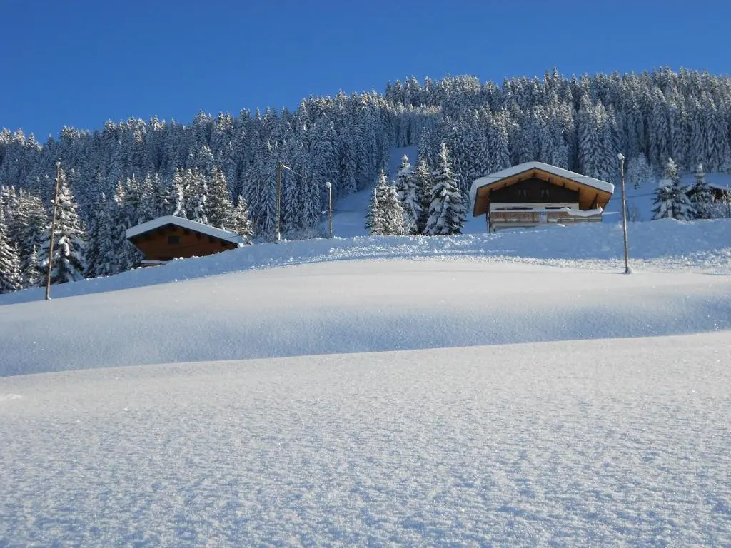 Chalets Savoie Les chalets dHeidi