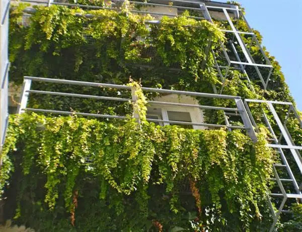 homie hotel kunterbunt