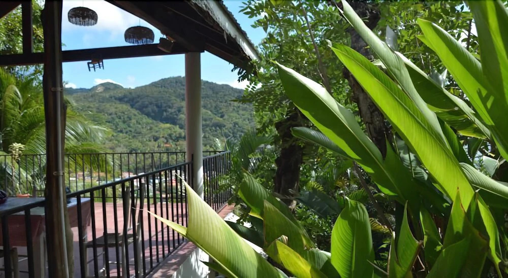 Uptown Guesthouse