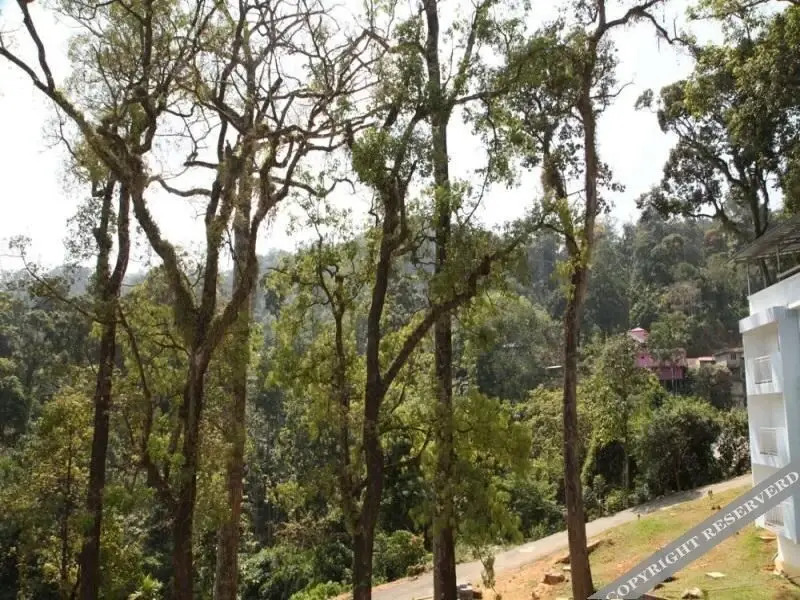 Munnar Black Forest Resort