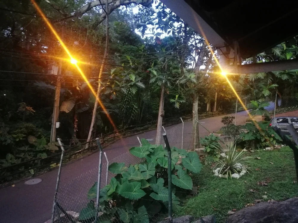 Casa Blanca