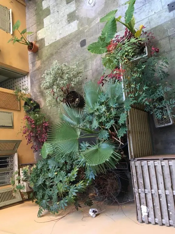 Heart of Nice Harboor cosy and central