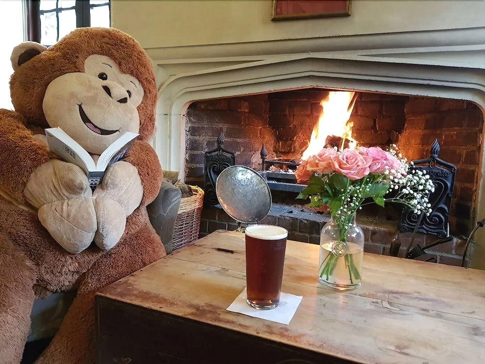 The Monkey House