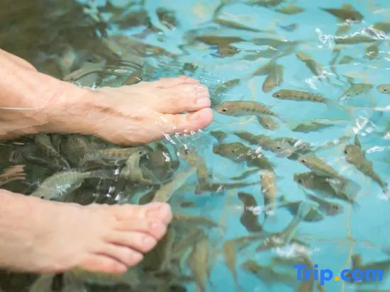 Yinji Huangdi Palace Yu Hot Spring Hotel (Animal Kingdom)