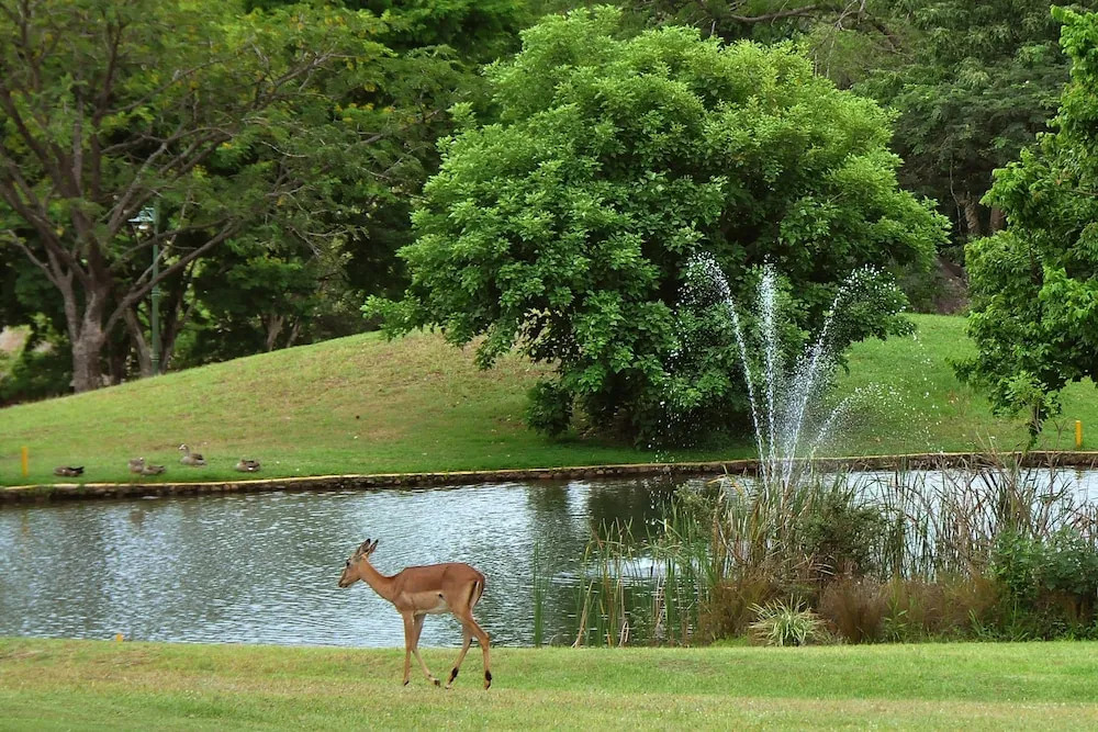 Kruger Park Lodge Unit 543