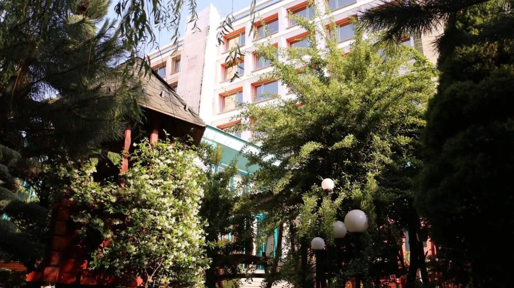 Hotel Carpati