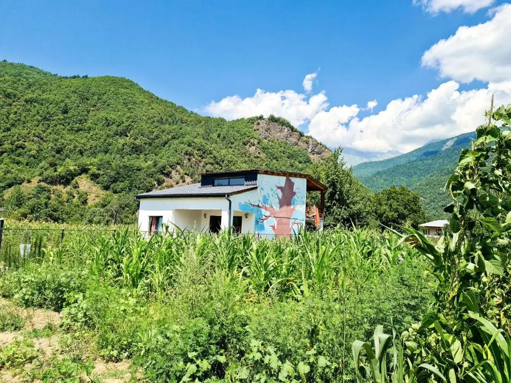 Racha Cornfield House