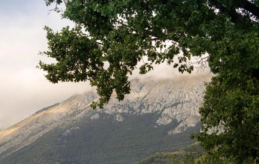 B&B Arco Dei Sogni