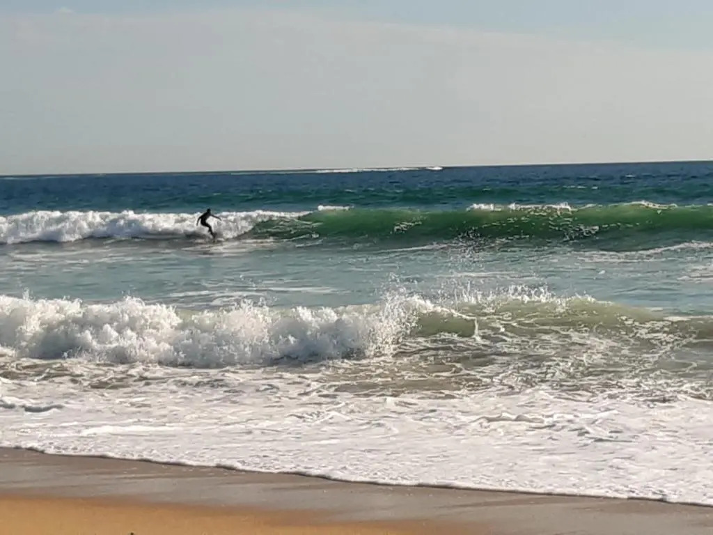 Magnifique T3 Vue Mer