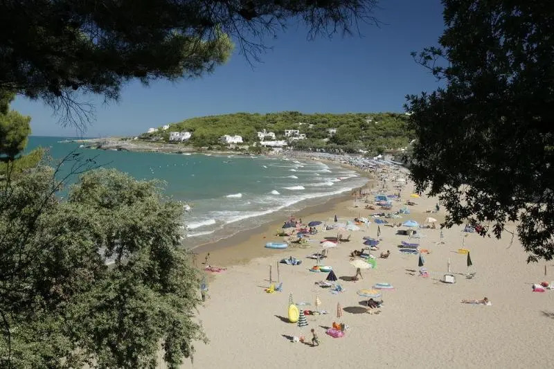 Happy Camp Camping Village Internazionale Manacore