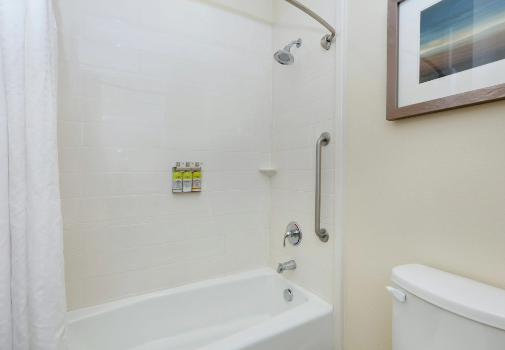 Holiday Inn Express & Suites San Antonio - Brooks City Base by IHG