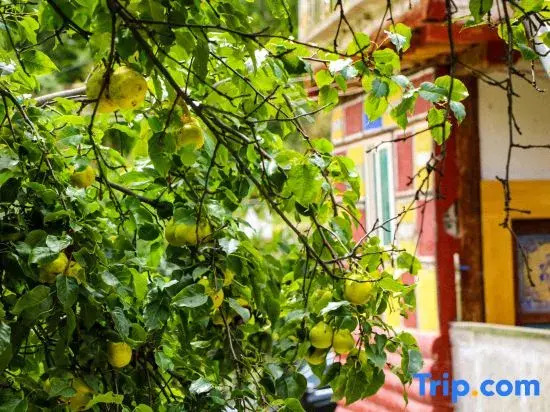 Jiaju secret realm  starry sky homestay