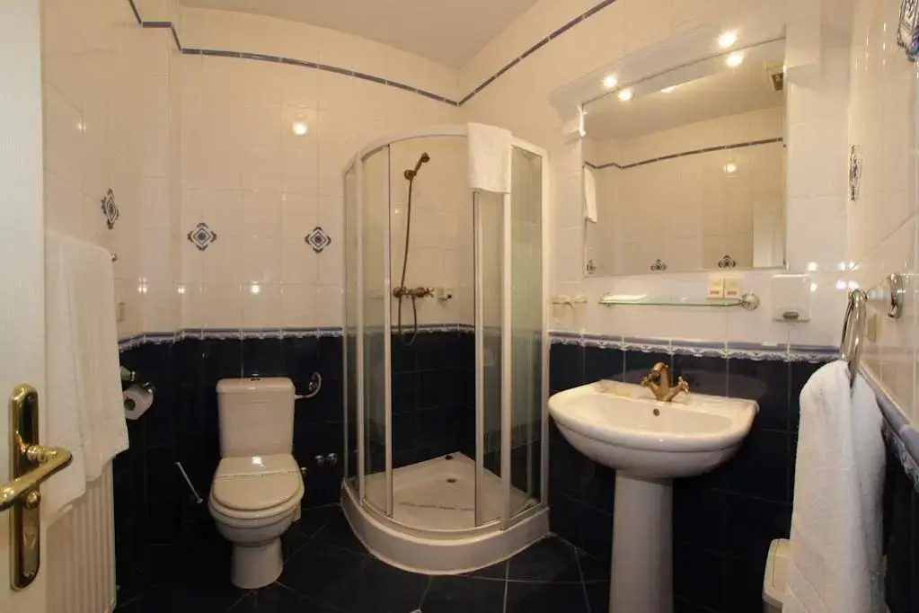 Hotel Vila Central Boutique Satu Mare