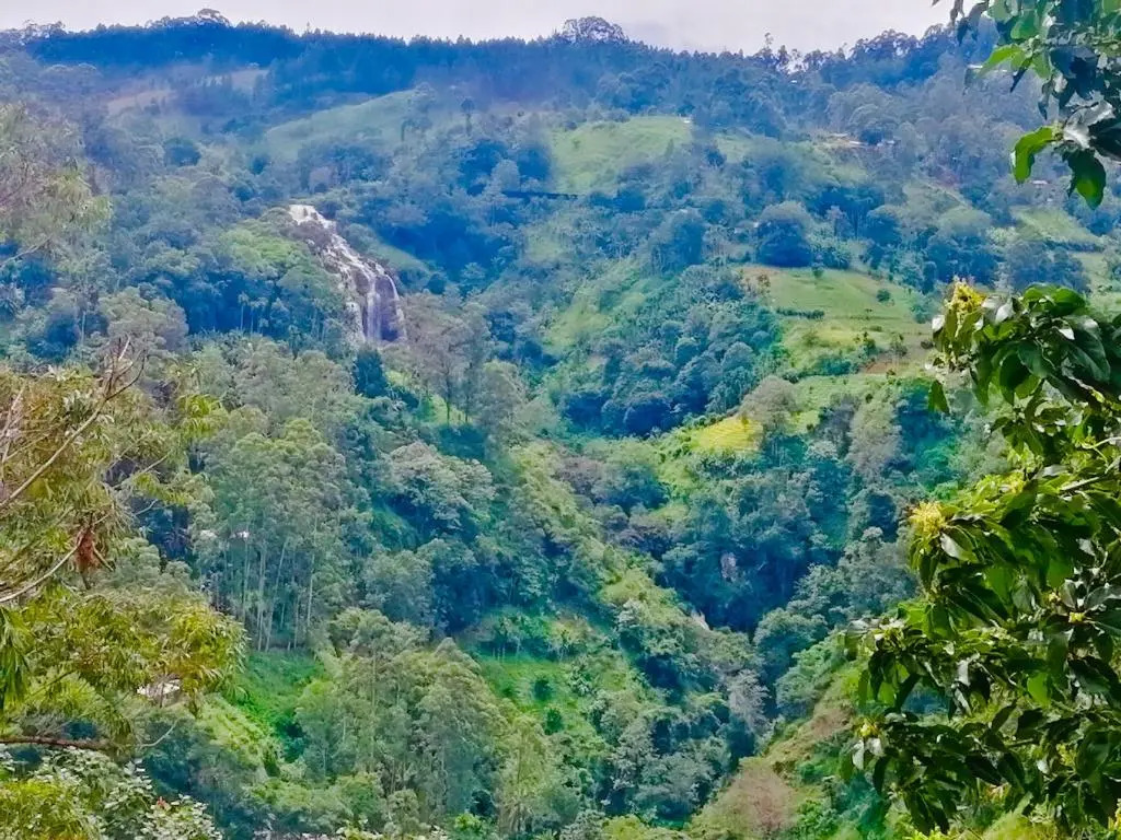 Hilltop Guest House