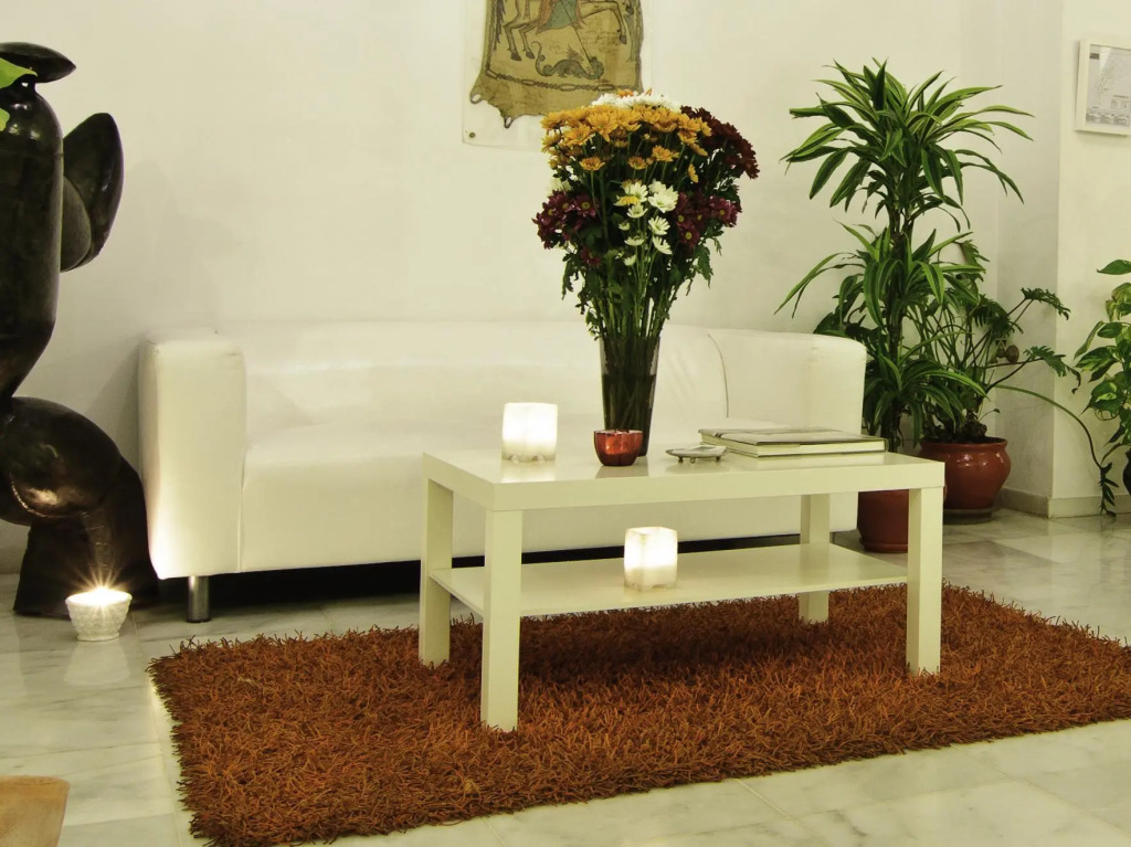 Un Patio al Sur