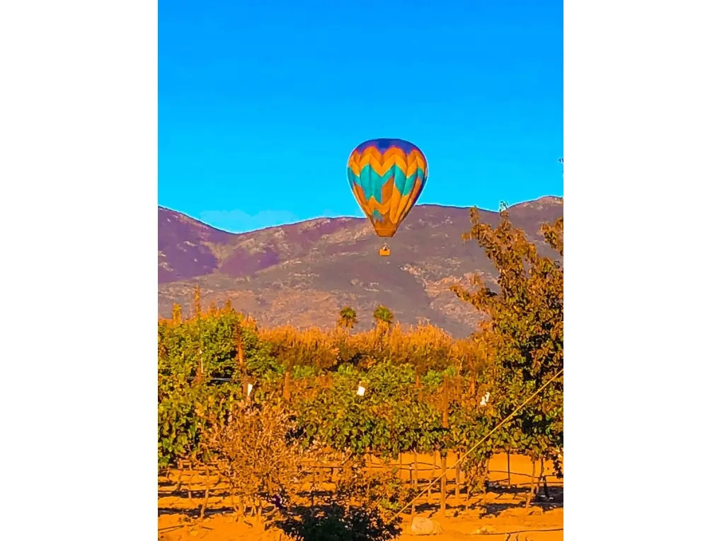 Rancho Los Retoños