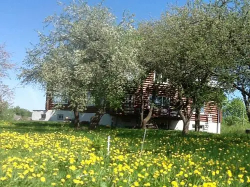 5 Zvezd