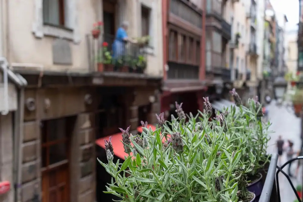 Ribera Market - At the heart of the Old Town