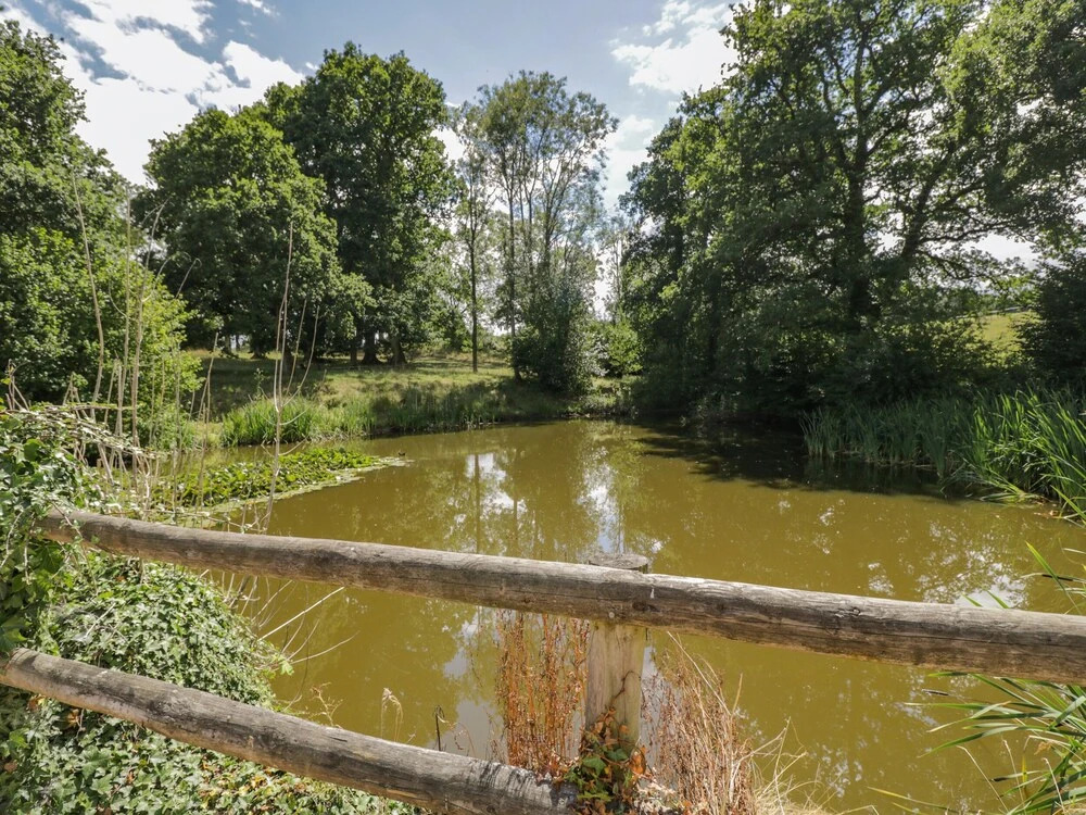 Pond View