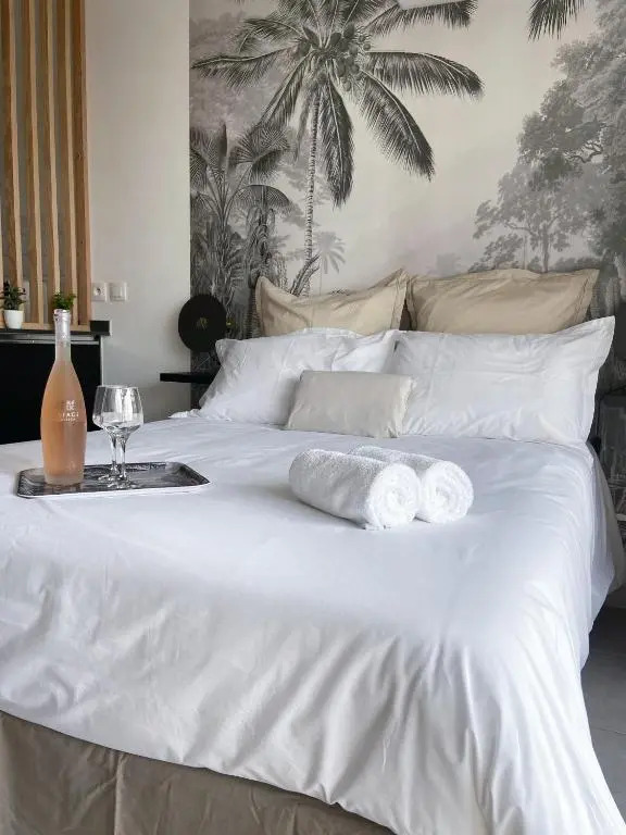Un Palmier Dans la Chambre, Studio de Standing