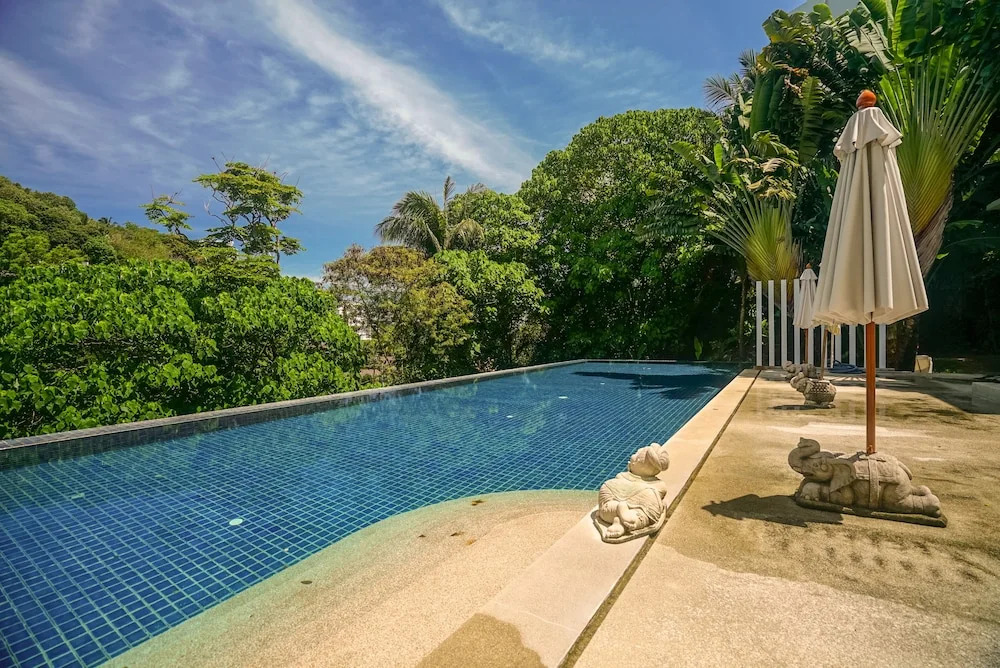 The Palm at Veloche Group by Lofty