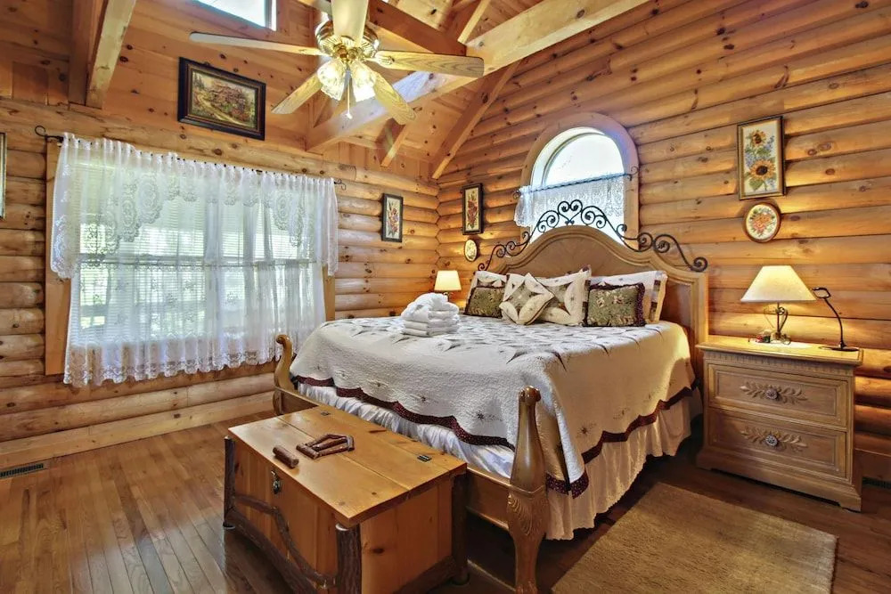 Alpine Ski Lodge