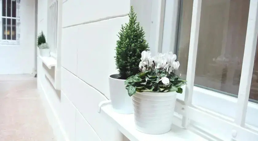 Paulay Design Apartment