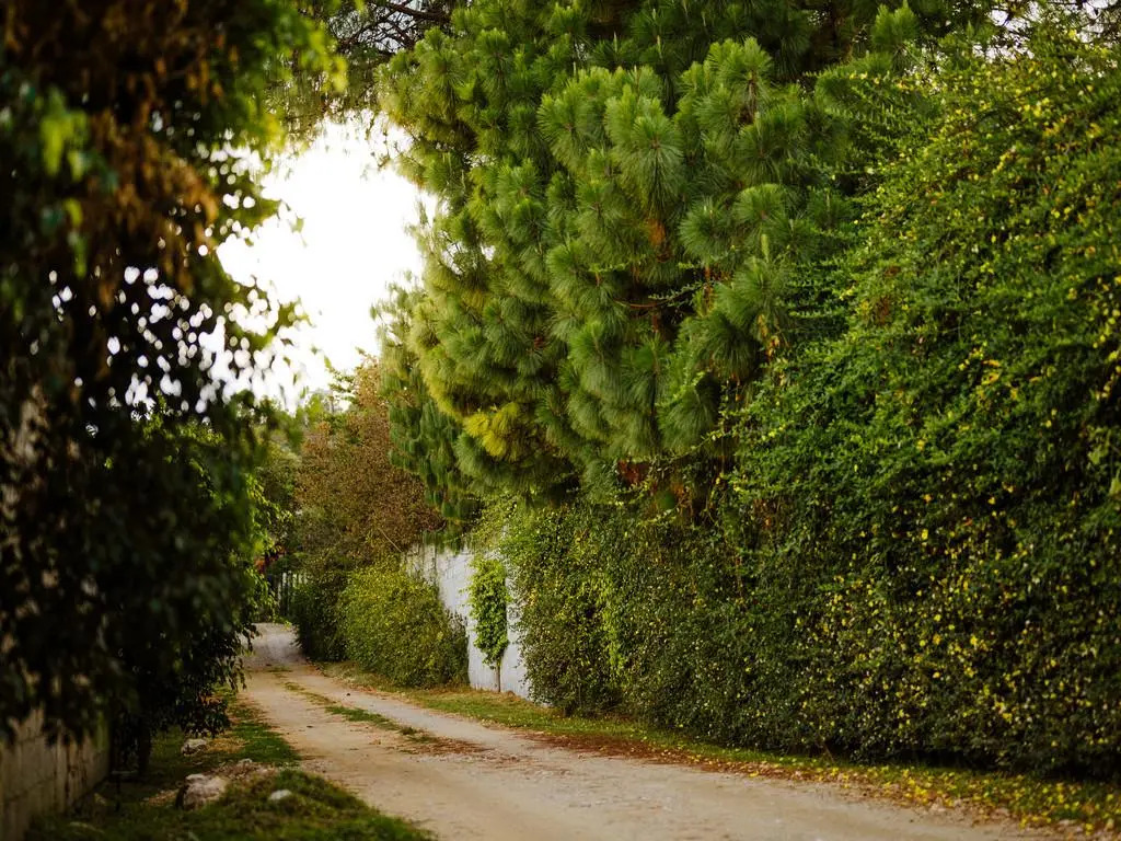 Villas NA