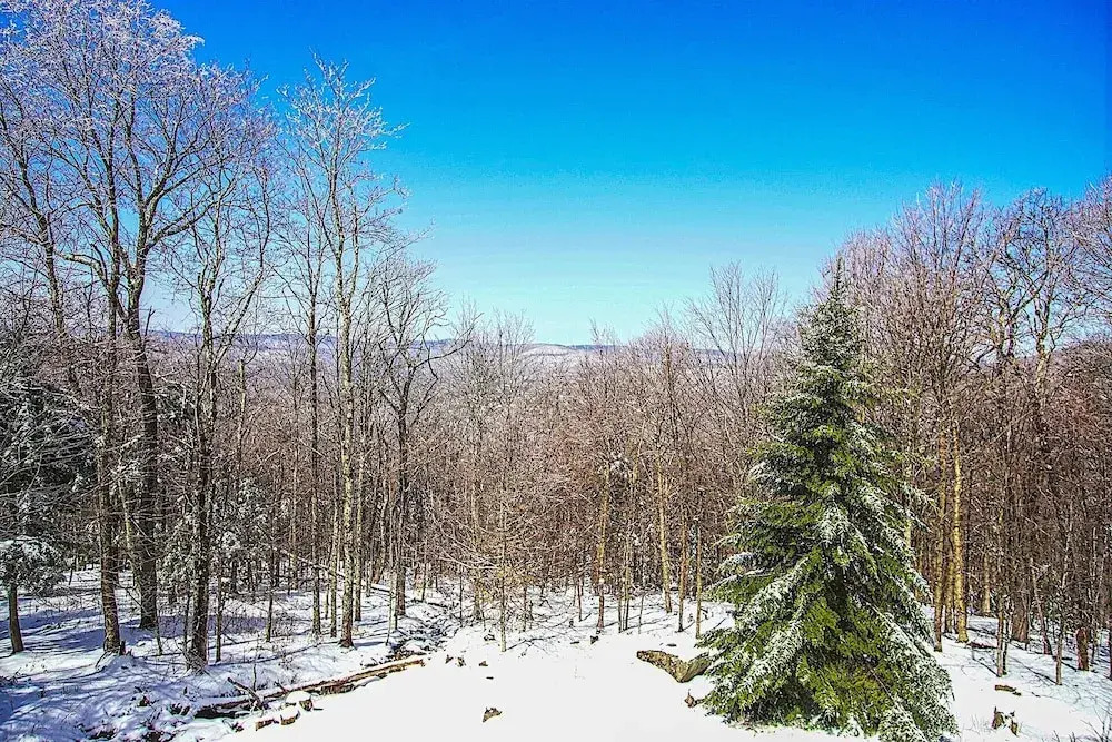 Top Property on Snowshoe Mountain North Westridge 32 is as Magnificent as its Western Views!