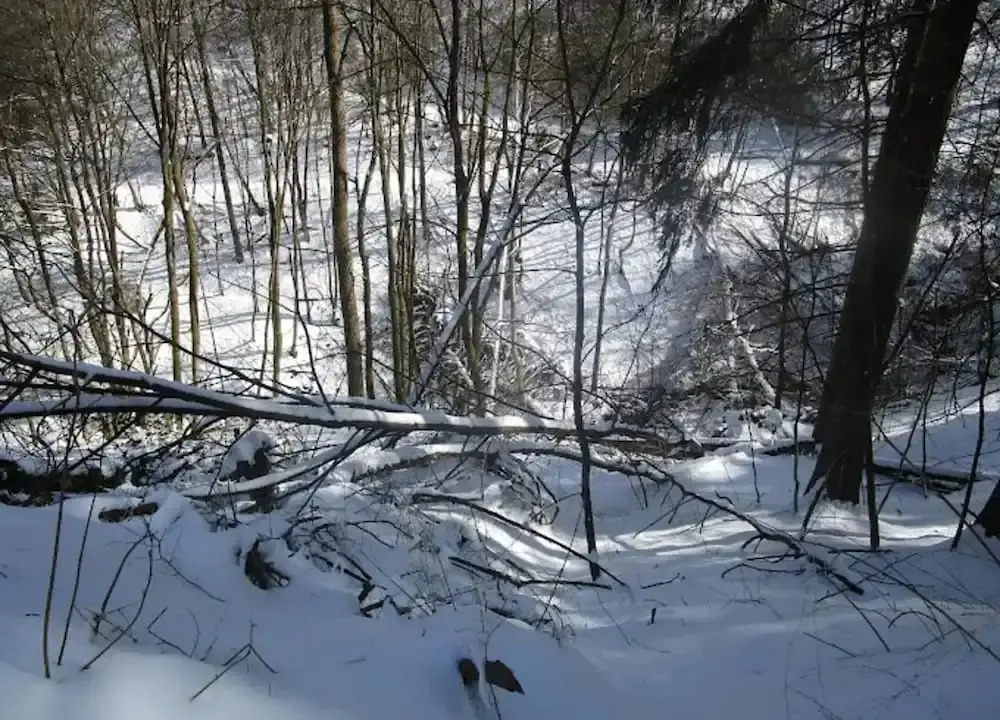 Moderne Gemeinschaftsunterkunft in Winterberg