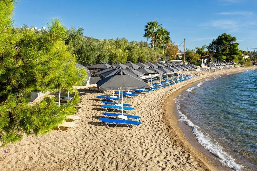 Paradisos Holiday