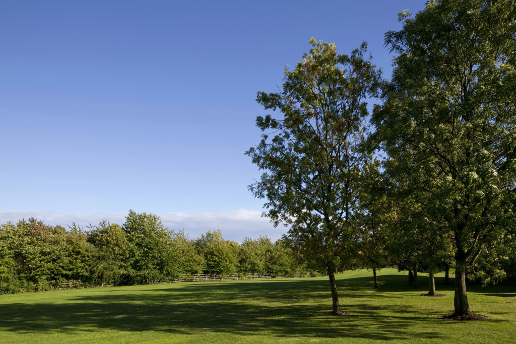 Holiday Inn Derby/Nottingham by IHG