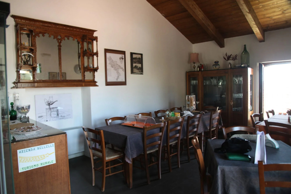 Casa del Geco