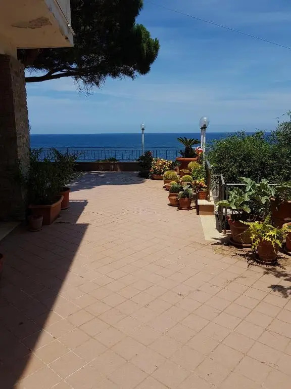 Suite Panoramic