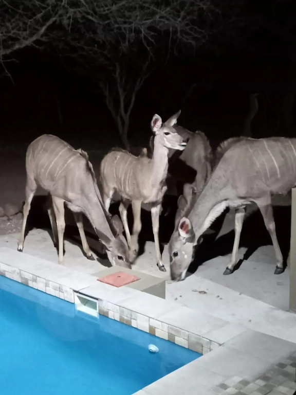 Kudus Crest Bush Retreat