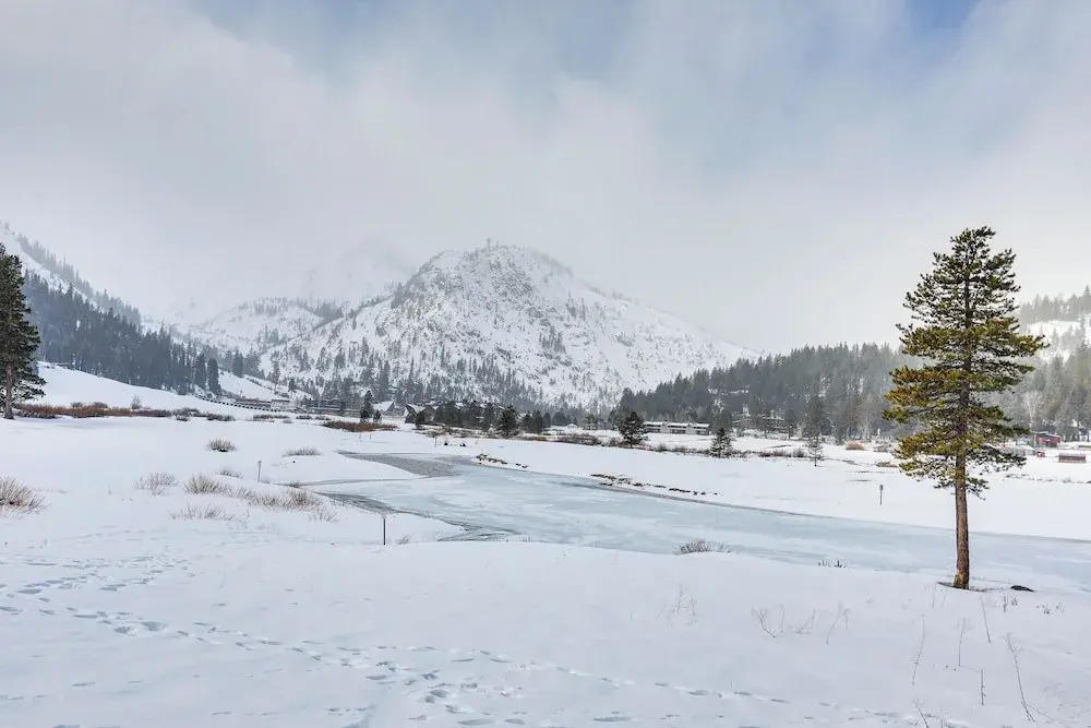Olympic Valley Summer Stay! 2BR in Everline Resort