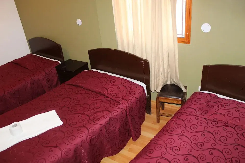 Apart y Hostal "El Puma"