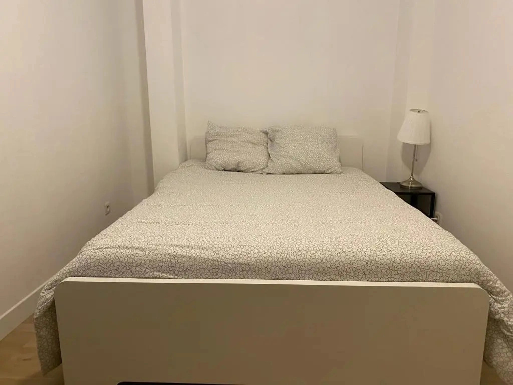Loft entier parisien-Paris11