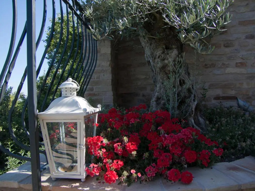 B&B San Nicolò