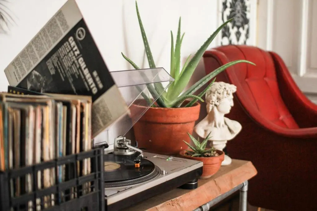 Coliving Trastevere