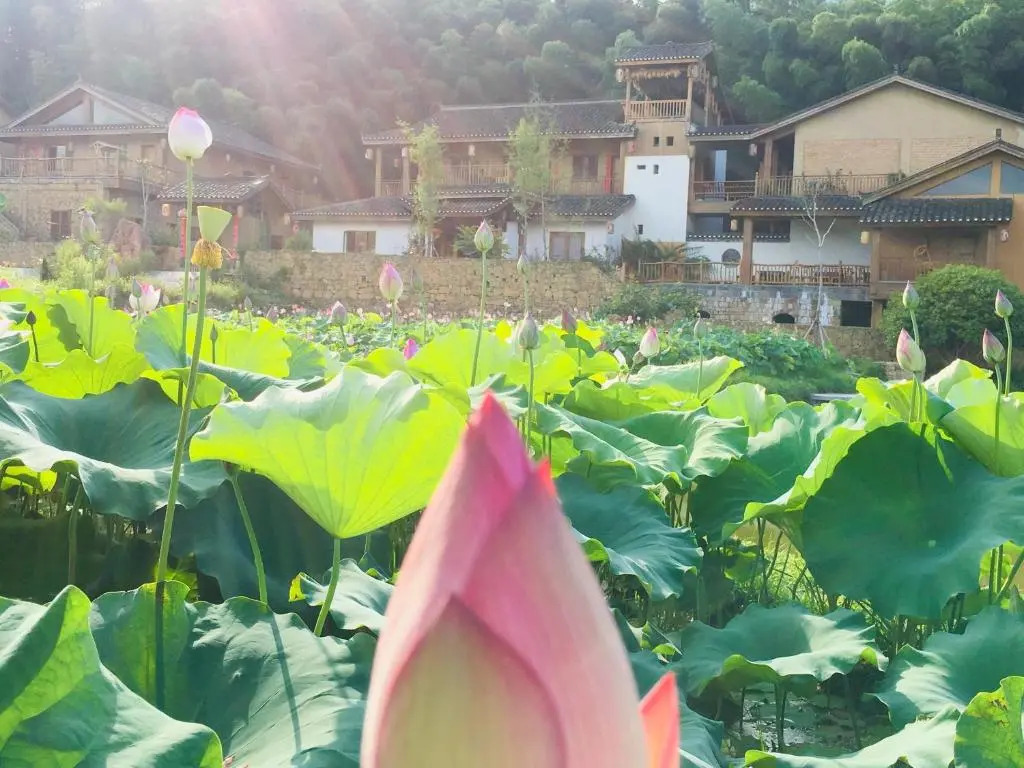 Avatar Floating Mountain Homestay