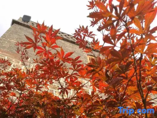 Yuzhou Songbook Cultural Luxury Resort Hotel