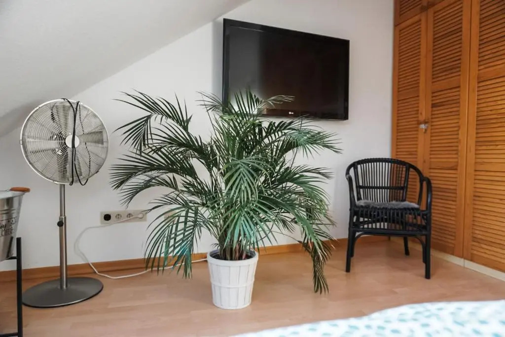 Surfer Loft with AC and sun terrace