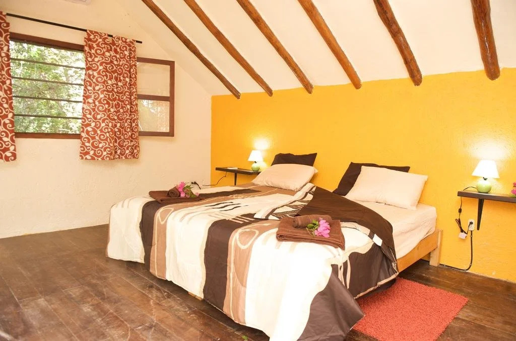 Casa Mango