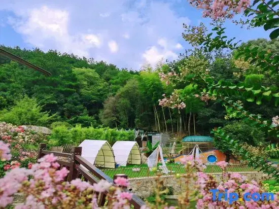 Shaoshan Love Shaoshan Talk · Mountain Scenery Courtyard Resort Garden B&B