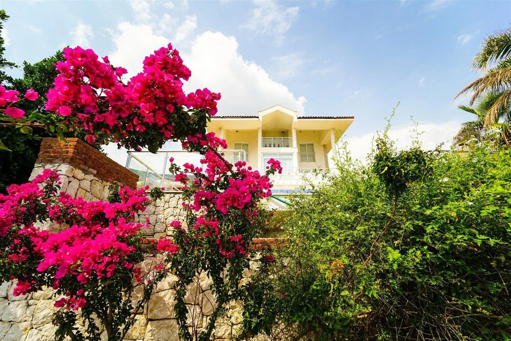 Dreamland Villa
