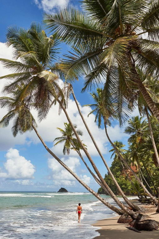 InterContinental Dominica Cabrits Resort & Spa